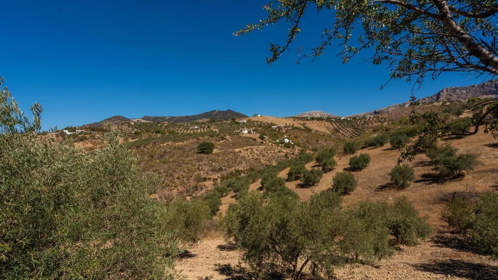 Holiday home Casa Rural Cayara By Ruralidays Villanueva de la Concepcion Spain